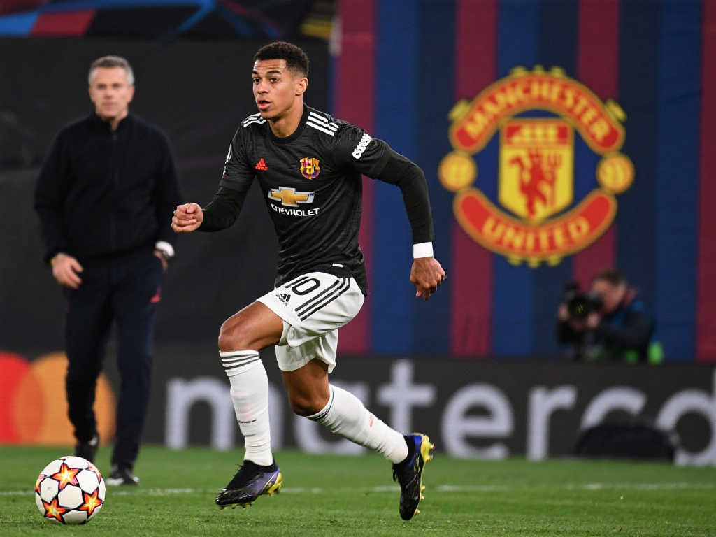 的拼劲严防 的拼劲严防