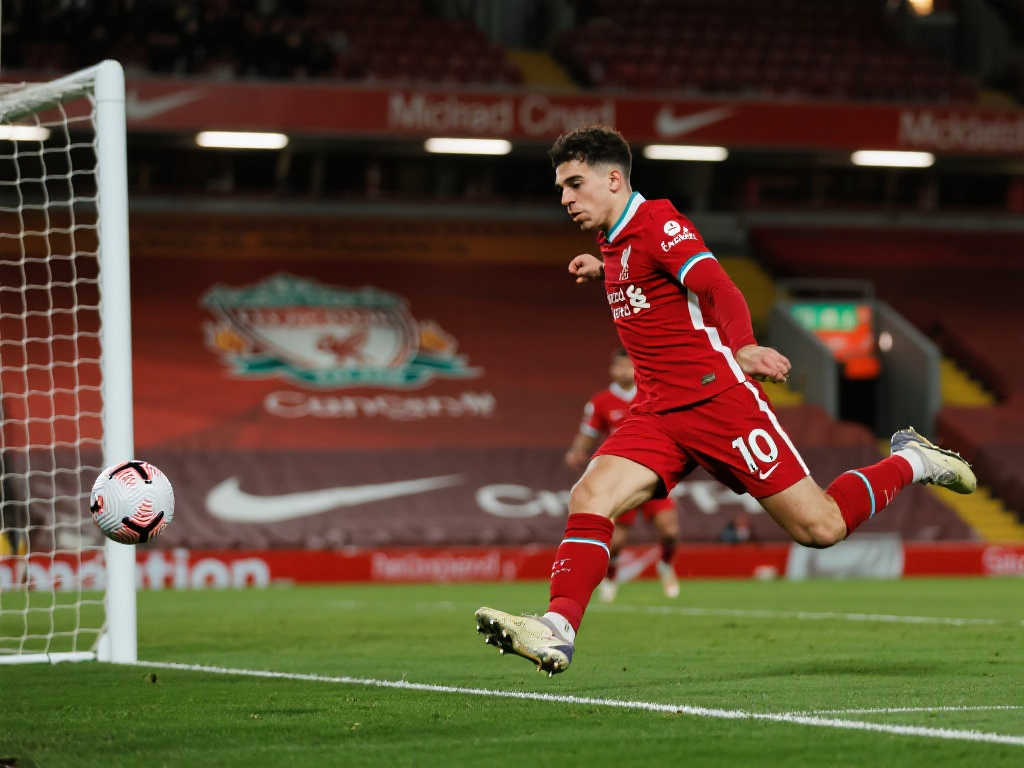 种更为宽广 种更为宽广